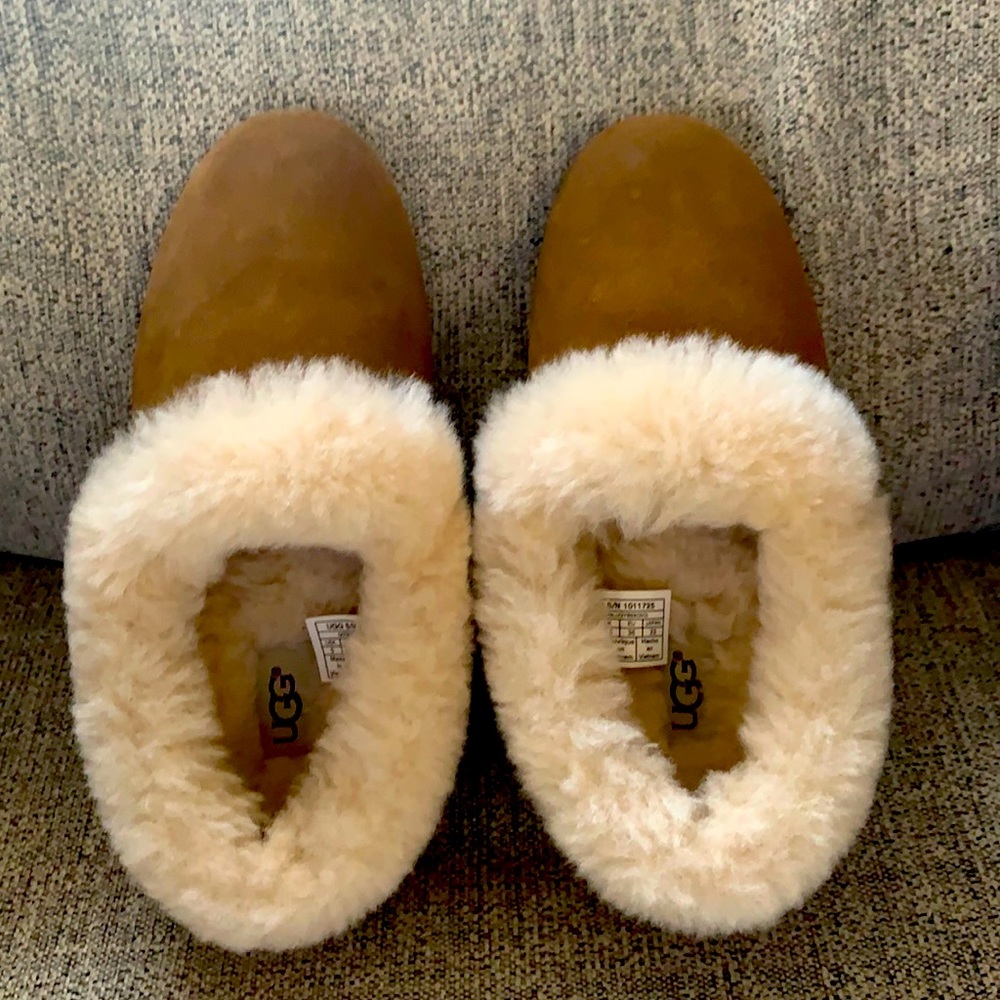 Ugg slippers